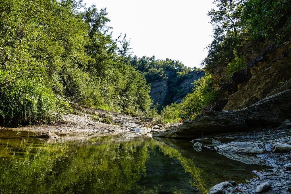 Agriturismo Montelovesco Brunetta Dış mekan fotoğraf