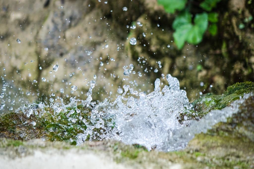 Agriturismo Montelovesco Brunetta Dış mekan fotoğraf