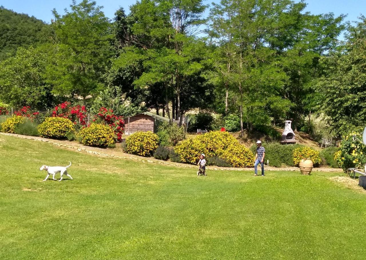 Agriturismo Montelovesco Brunetta Dış mekan fotoğraf