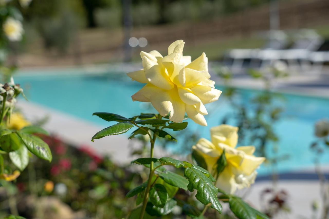 Agriturismo Montelovesco Brunetta Dış mekan fotoğraf