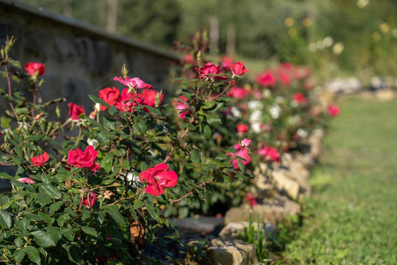 Agriturismo Montelovesco Brunetta Dış mekan fotoğraf